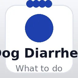 Digestive and Gut Health